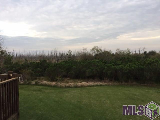 1655 Bayou Dularge Road Theriot, LA 70397 - Photo 7 of 43 overlooking acreage from covered patio