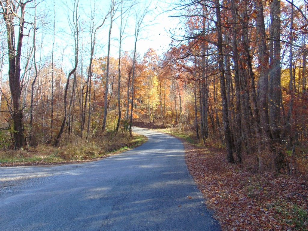 0 Raccoon Ridge Road Spring City, TN 37381 - Photo 66 of 70