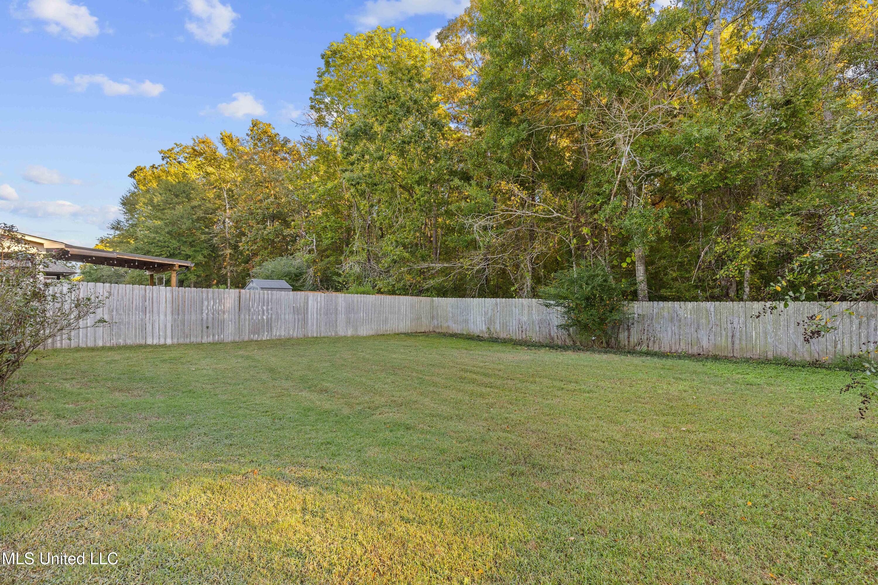 116 Greenfield Ridge Drive Brandon, MS 39042 - Photo 31 of 32 116 Greenfield-40