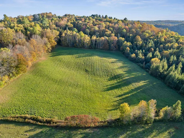 $110,000 | 223 Bobbinshop Road, Chelsea, VT 05038