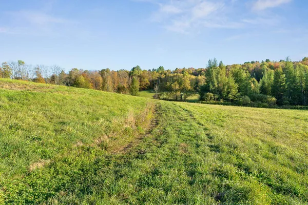 $99,000 | 223 Bobbinshop Road, Chelsea, VT 05038