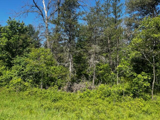 1 M-37 Baldwin, MI 49304 - Photo 7 of 15