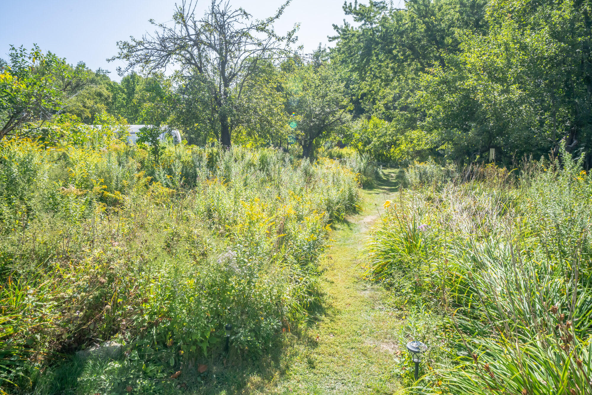 3 Garden Road Monroe, ME 04951 - Photo 50 of 67 1373