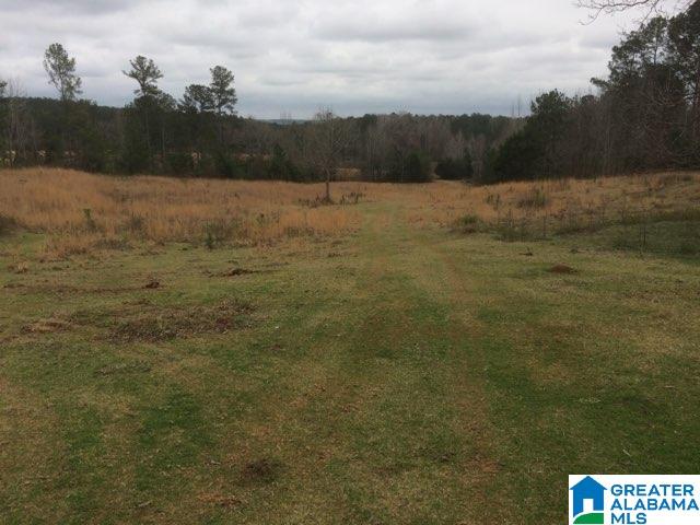 3686 Dudleyville Road Dadeville, AL 36853 - Photo 2 of 3
