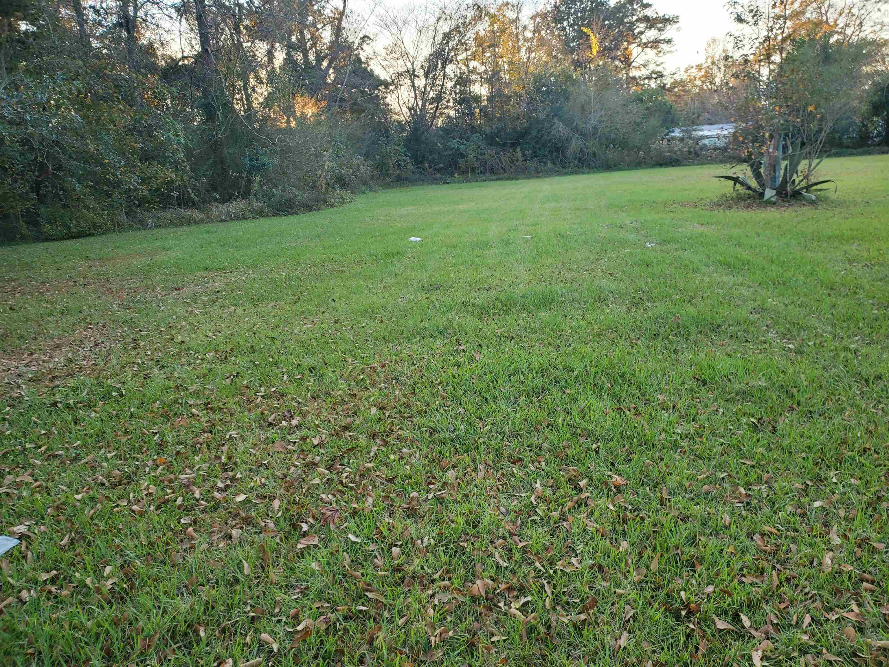 Lot 26 Jack Springs Road Atmore, AL 36502 - Photo 2 of 4