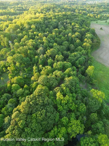 an aerial view of a garden with plants