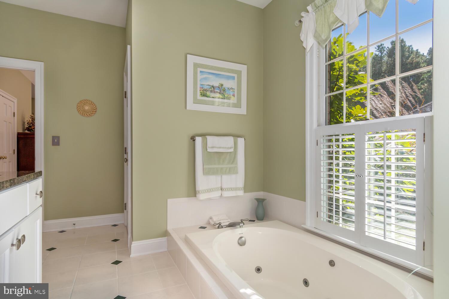 8466 Aveley Farm Road Easton, MD 21601 - Photo 38 of 64 Primary Bath soaking tub