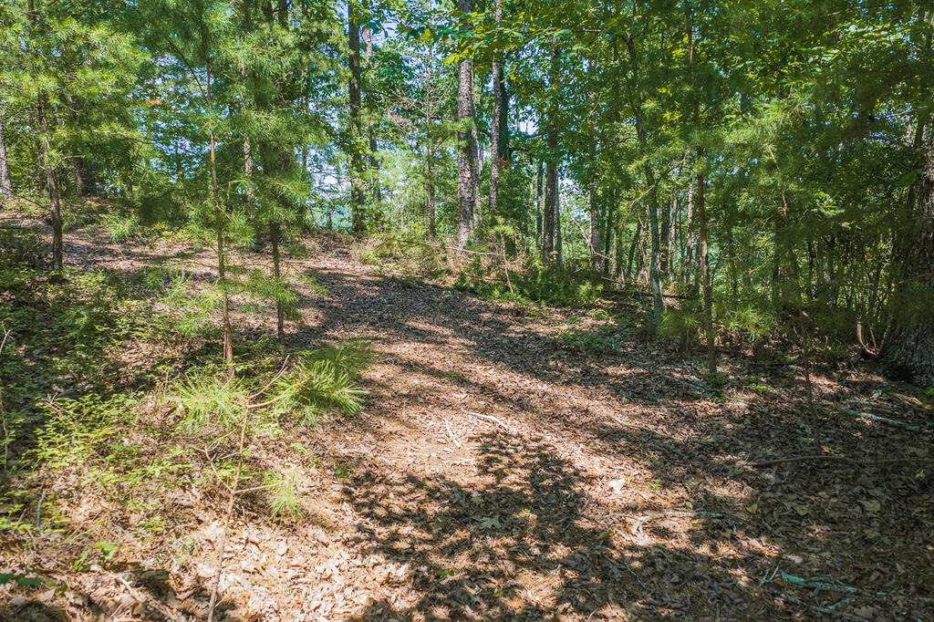 694-695 Railey Ridge Ranger, GA 30734 - Photo 8 of 17 Gallery Image 8