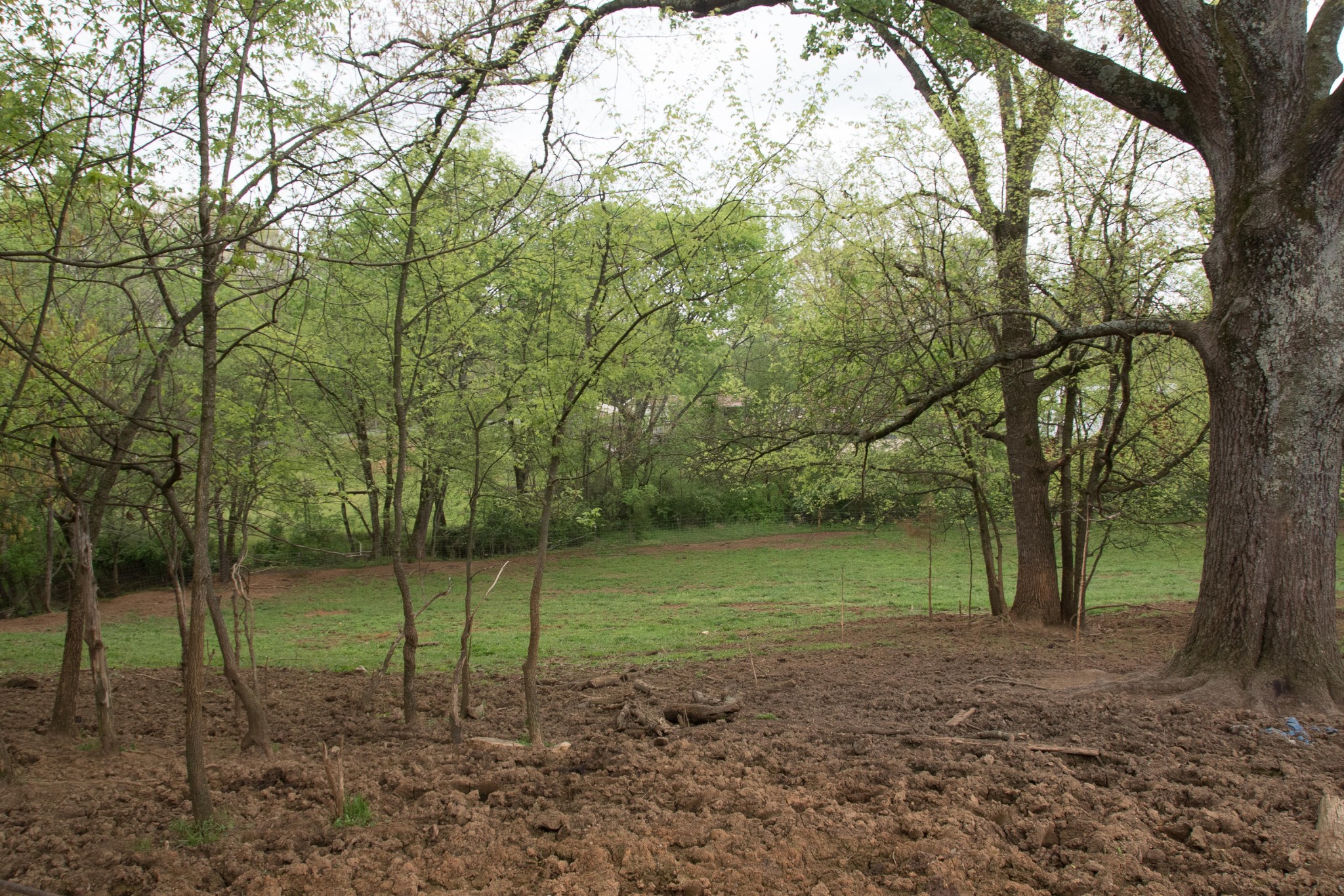 4807 Big Springs Road Friendsville, TN 37737 - Photo 12 of 14