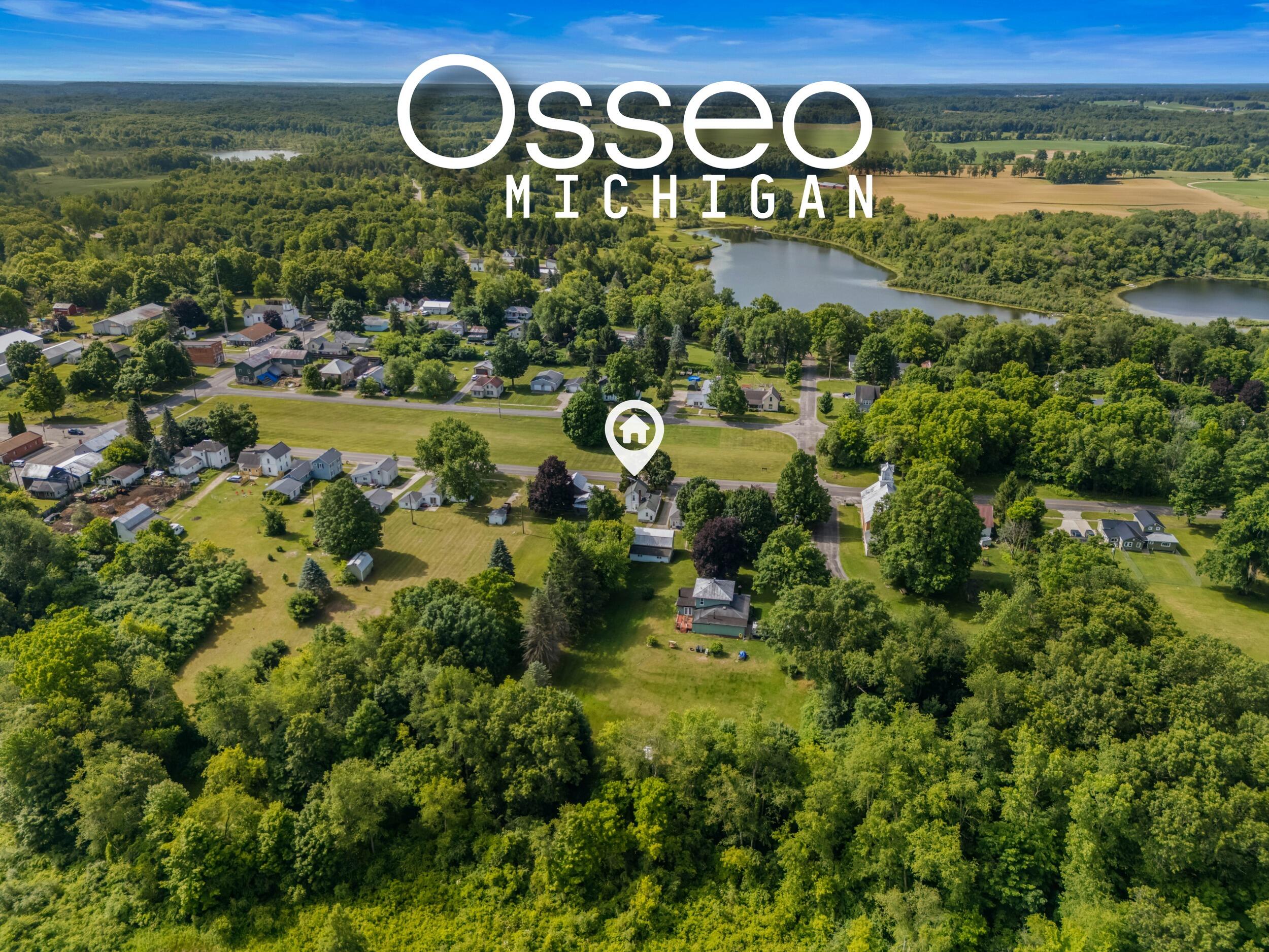5388 Beecher Road Osseo, MI 49266 - Photo 42 of 42