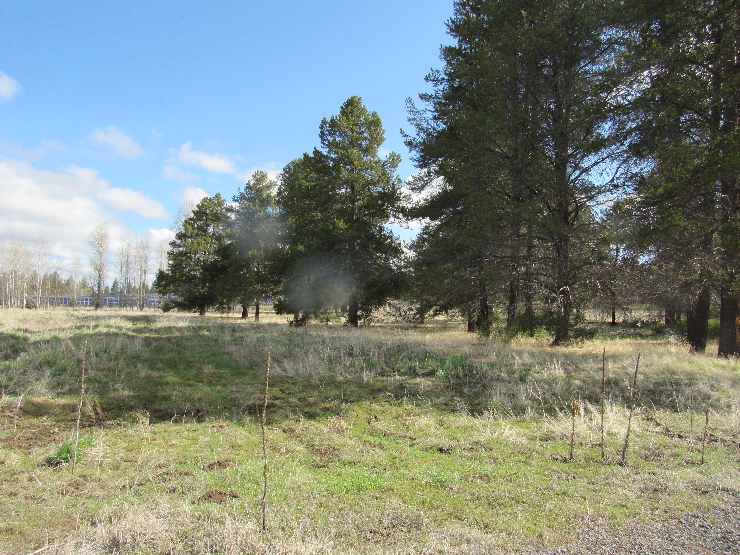 0 Longhorn Loop, Unit 883882 Chiloquin, OR 97624 - Photo 8 of 11 a view of a yard with an trees