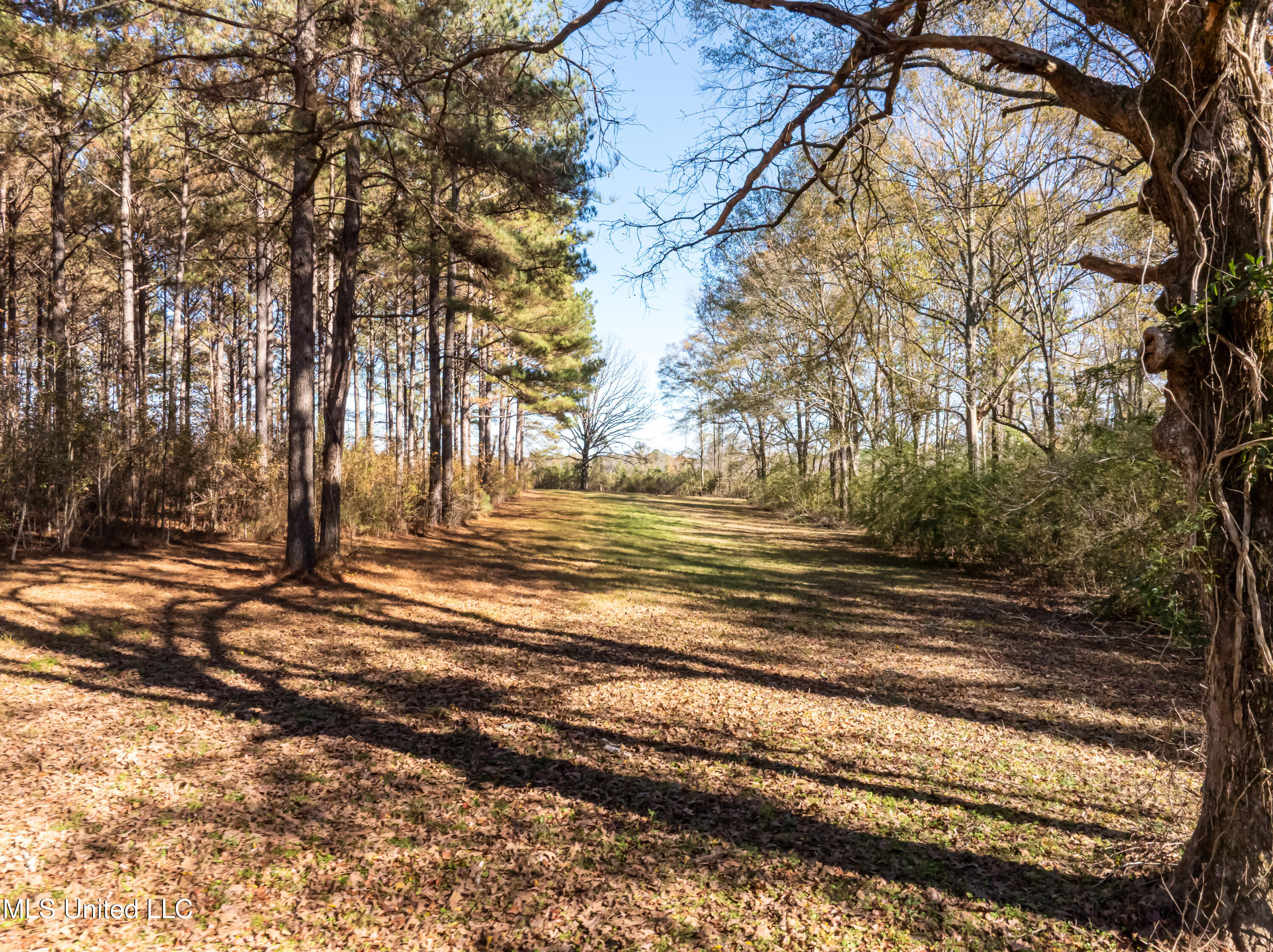 5844 North Williamsburg Road Bassfield, MS 39421 - Photo 85 of 105 5844_N_Williamsburg_Rd-75