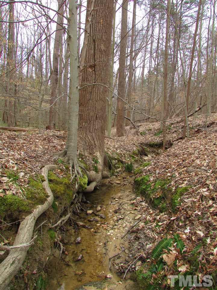 64.02-acres Gentry Ridge Road Roxboro, NC 27574 - Photo 12 of 28