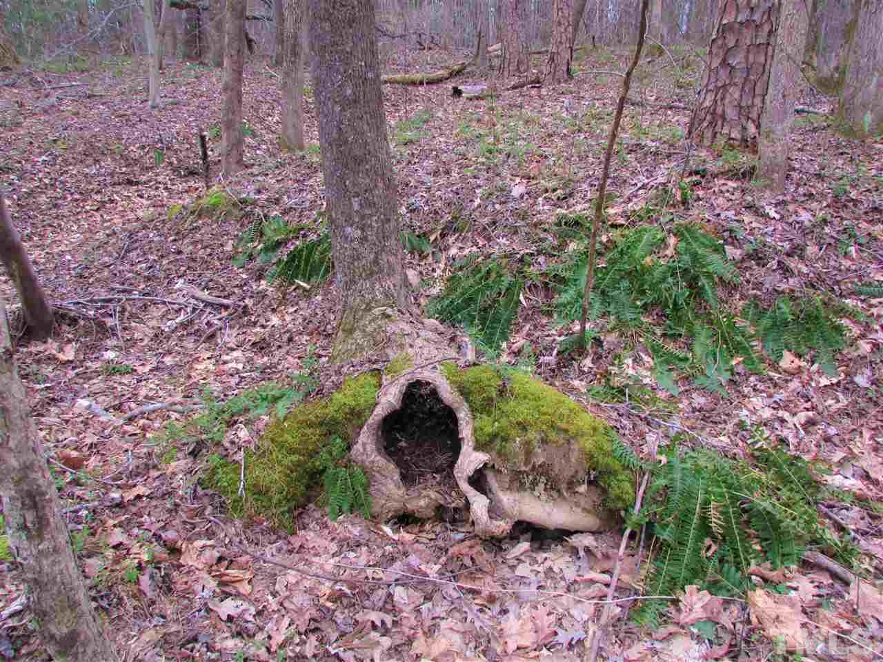 64.02-acres Gentry Ridge Road Roxboro, NC 27574 - Photo 13 of 28