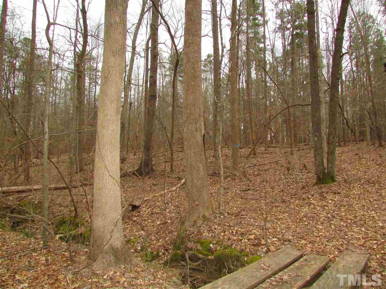 64.02-acres Gentry Ridge Road Roxboro, NC 27574 - Photo 17 of 28