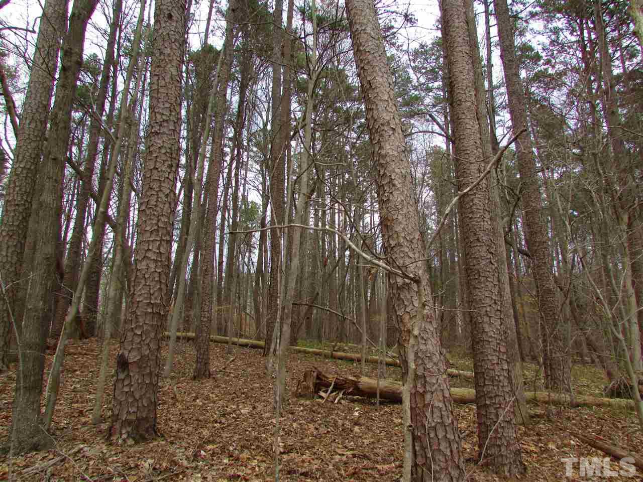 64.02-acres Gentry Ridge Road Roxboro, NC 27574 - Photo 19 of 28
