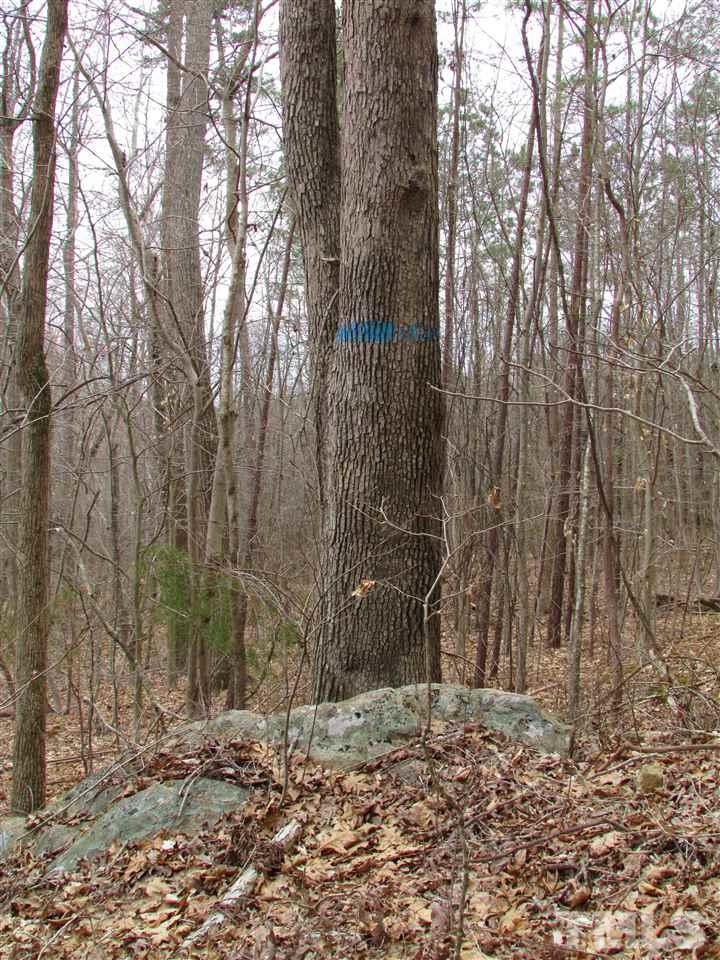 64.02-acres Gentry Ridge Road Roxboro, NC 27574 - Photo 20 of 28