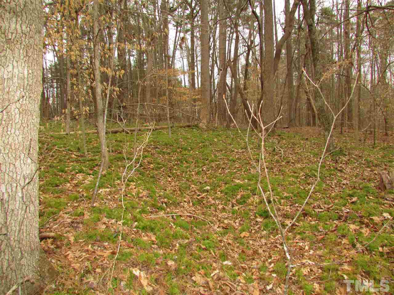 64.02-acres Gentry Ridge Road Roxboro, NC 27574 - Photo 22 of 28