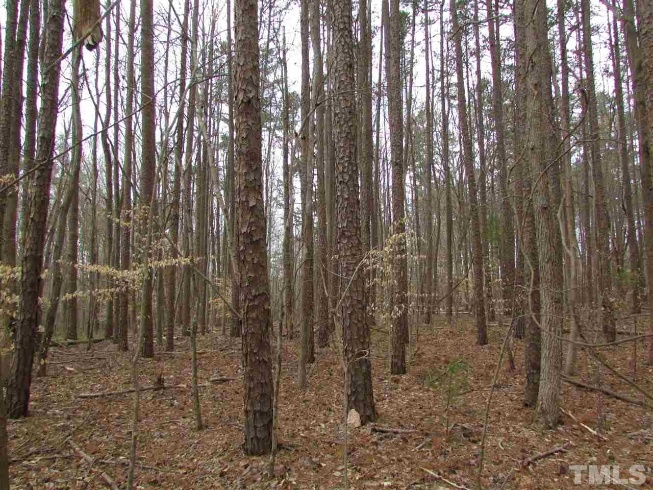 64.02-acres Gentry Ridge Road Roxboro, NC 27574 - Photo 23 of 28
