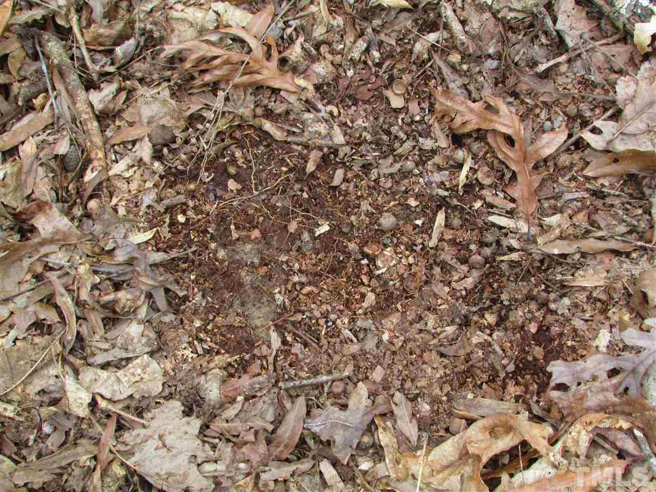64.02-acres Gentry Ridge Road Roxboro, NC 27574 - Photo 24 of 28