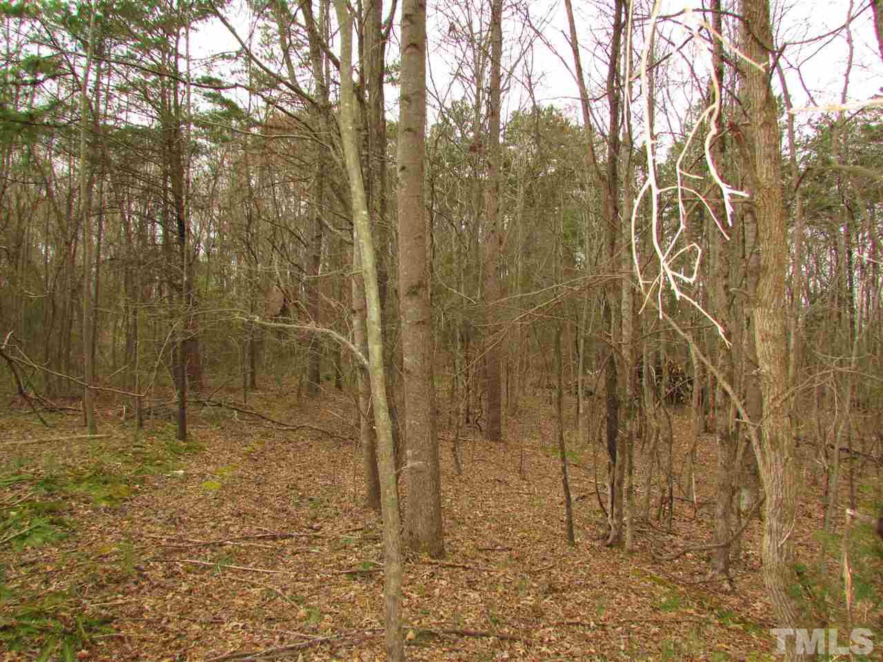64.02-acres Gentry Ridge Road Roxboro, NC 27574 - Photo 26 of 28