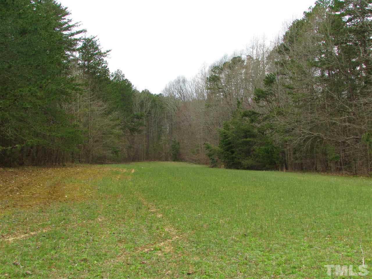 64.02-acres Gentry Ridge Road Roxboro, NC 27574 - Photo 9 of 28