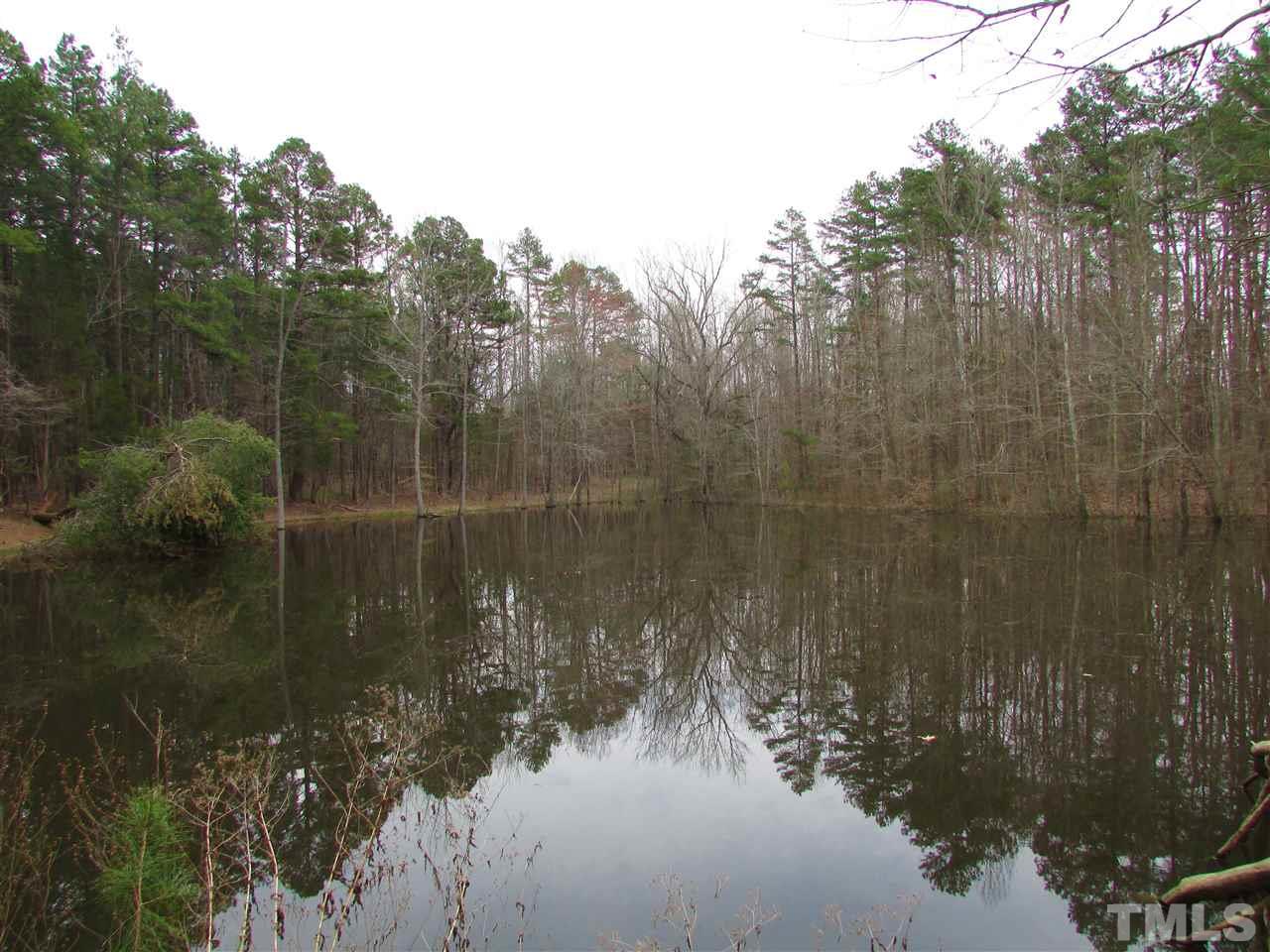64.02-acres Gentry Ridge Road Roxboro, NC 27574 - Photo 10 of 28