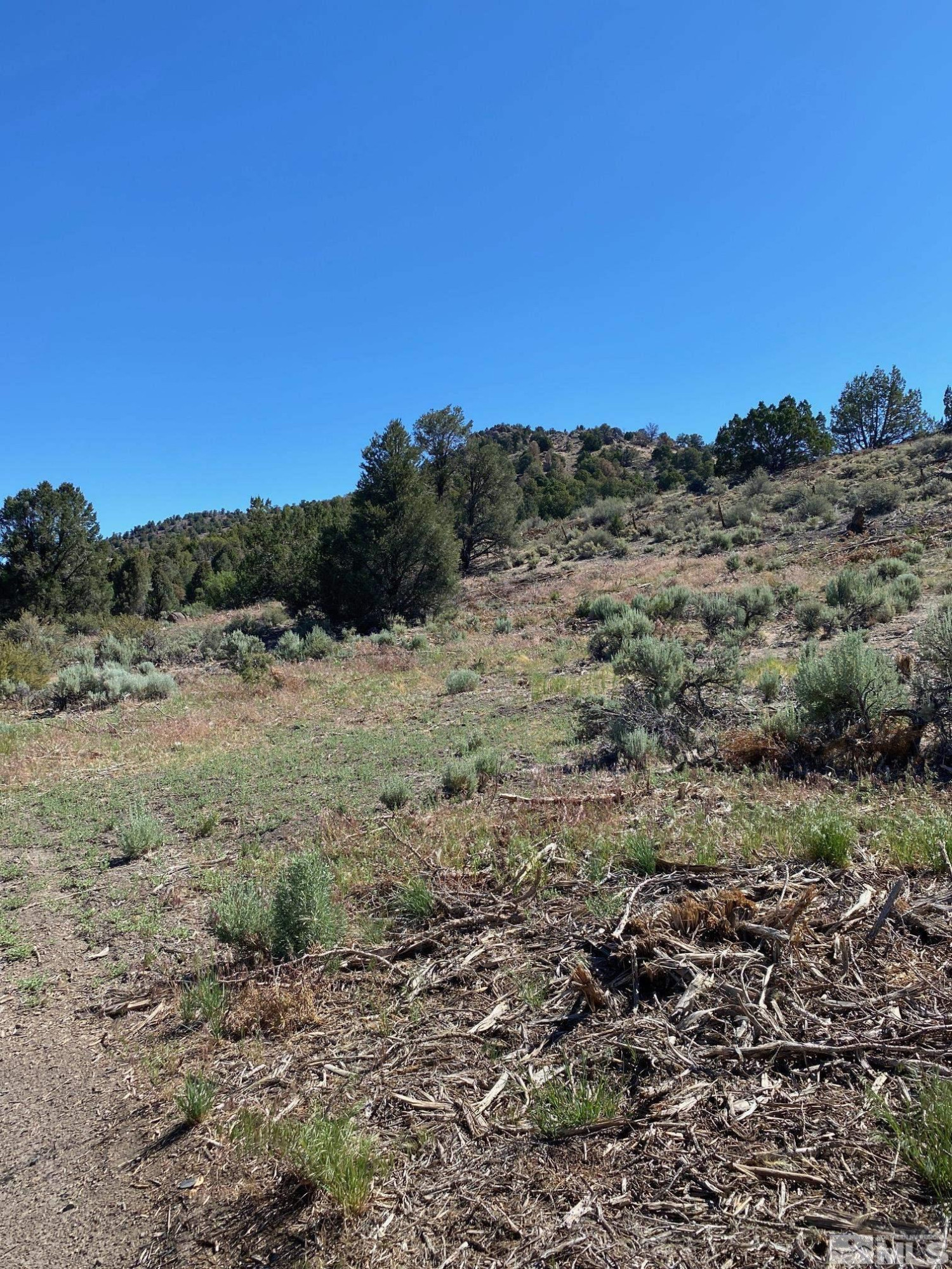 Tbd Eldorado Canyon Road Carson City, NV 89701 - Photo 15 of 20 Photo 17