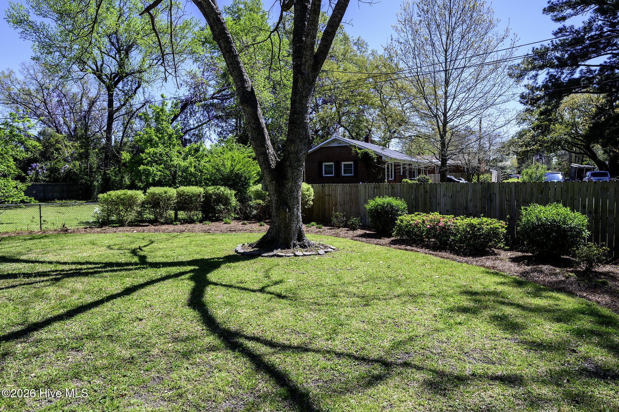 1813 Tryon Road New Bern, NC 28560 - Photo 44 of 60 Backyard