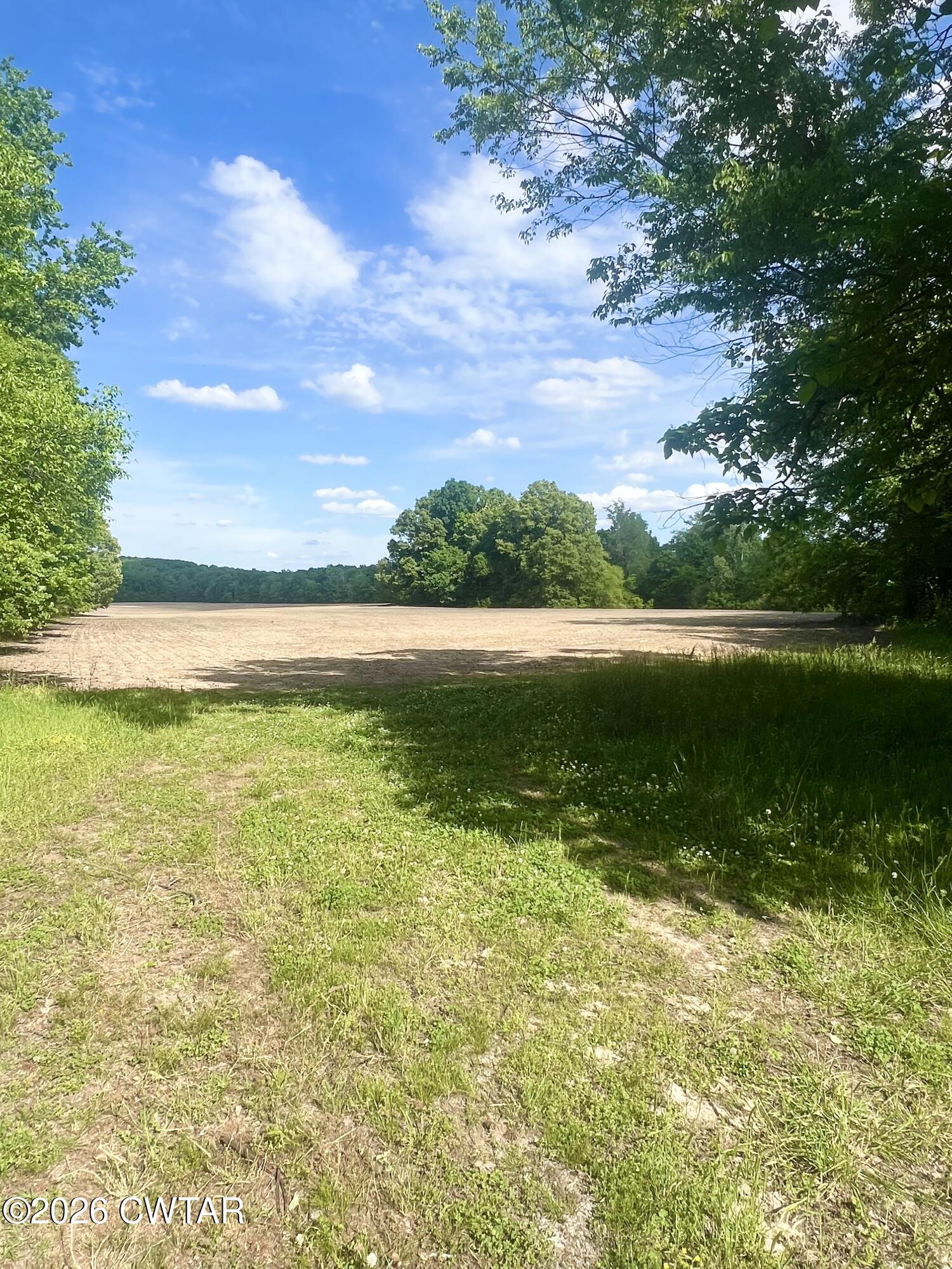 0 Independence Loop Lexington, TN 38351 - Photo 2 of 4 IMG_1170
