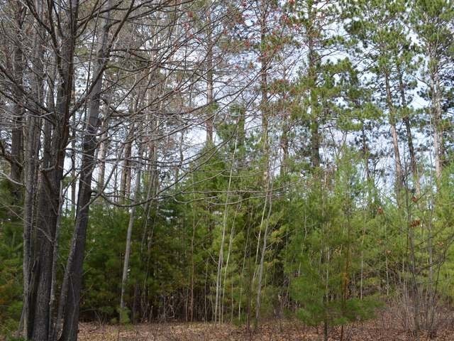 On Selmer Road Tomahawk, WI 54487 - Photo 5 of 17 Gallery Image 5