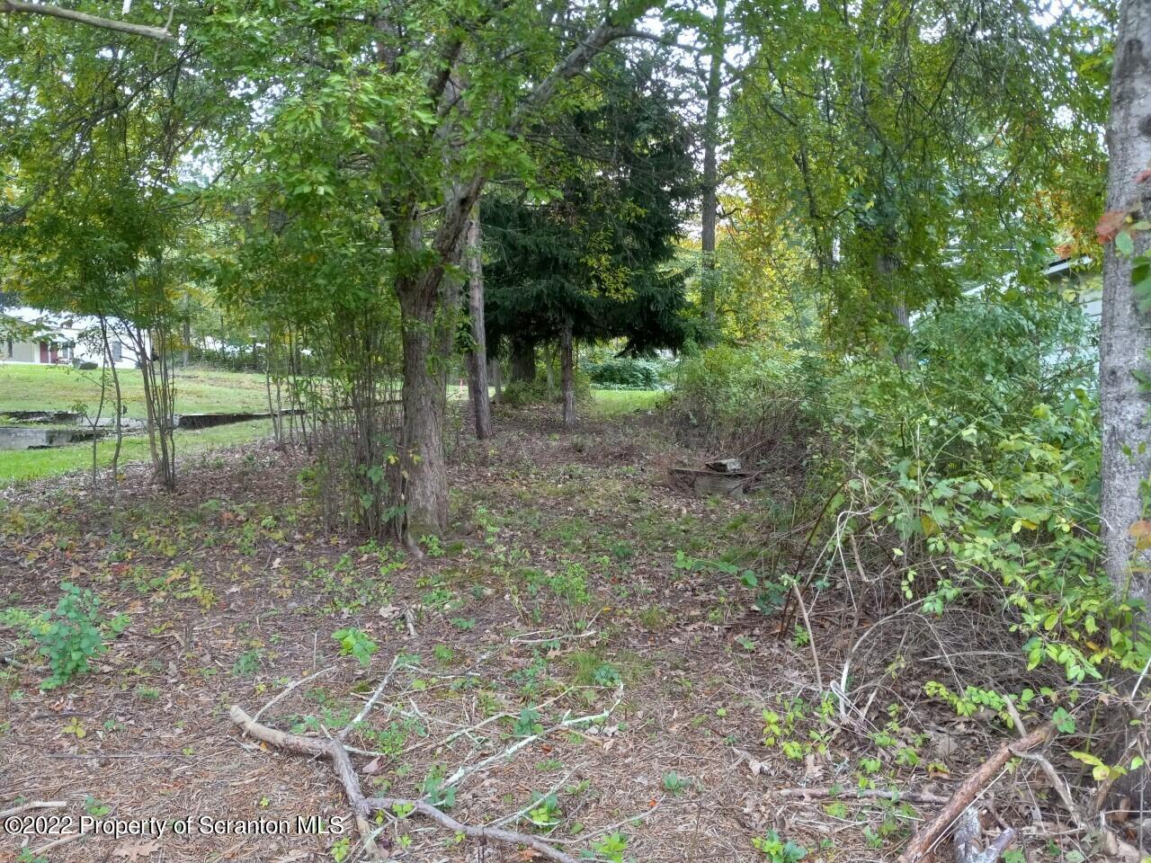 48 1/2 Indian Spring Road Tunkhannock, PA 18657 - Photo 4 of 15 a view of outdoor space and tree
