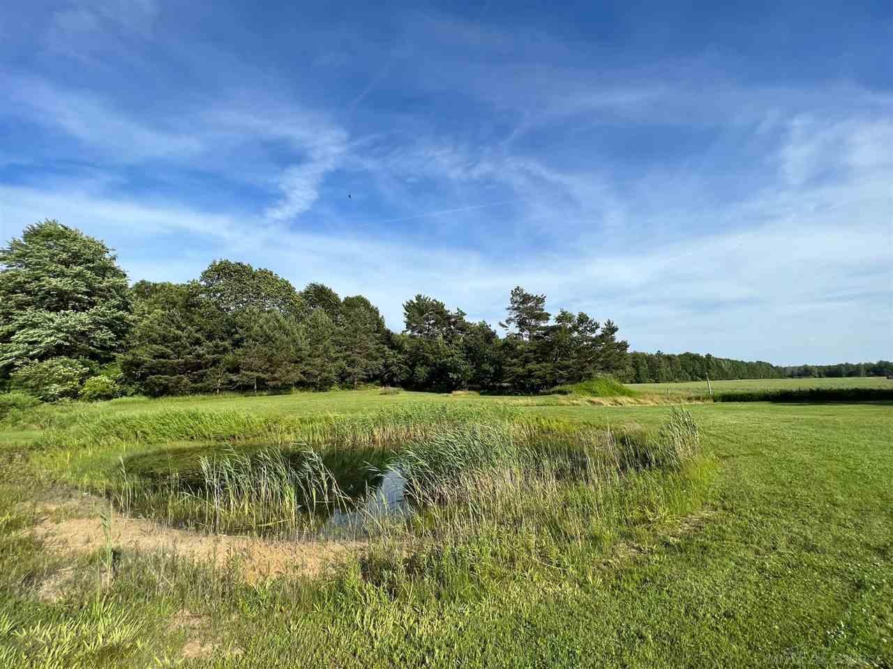 6056 Downington Road Deckerville, MI 48427 - Photo 8 of 9 Gallery Image 8