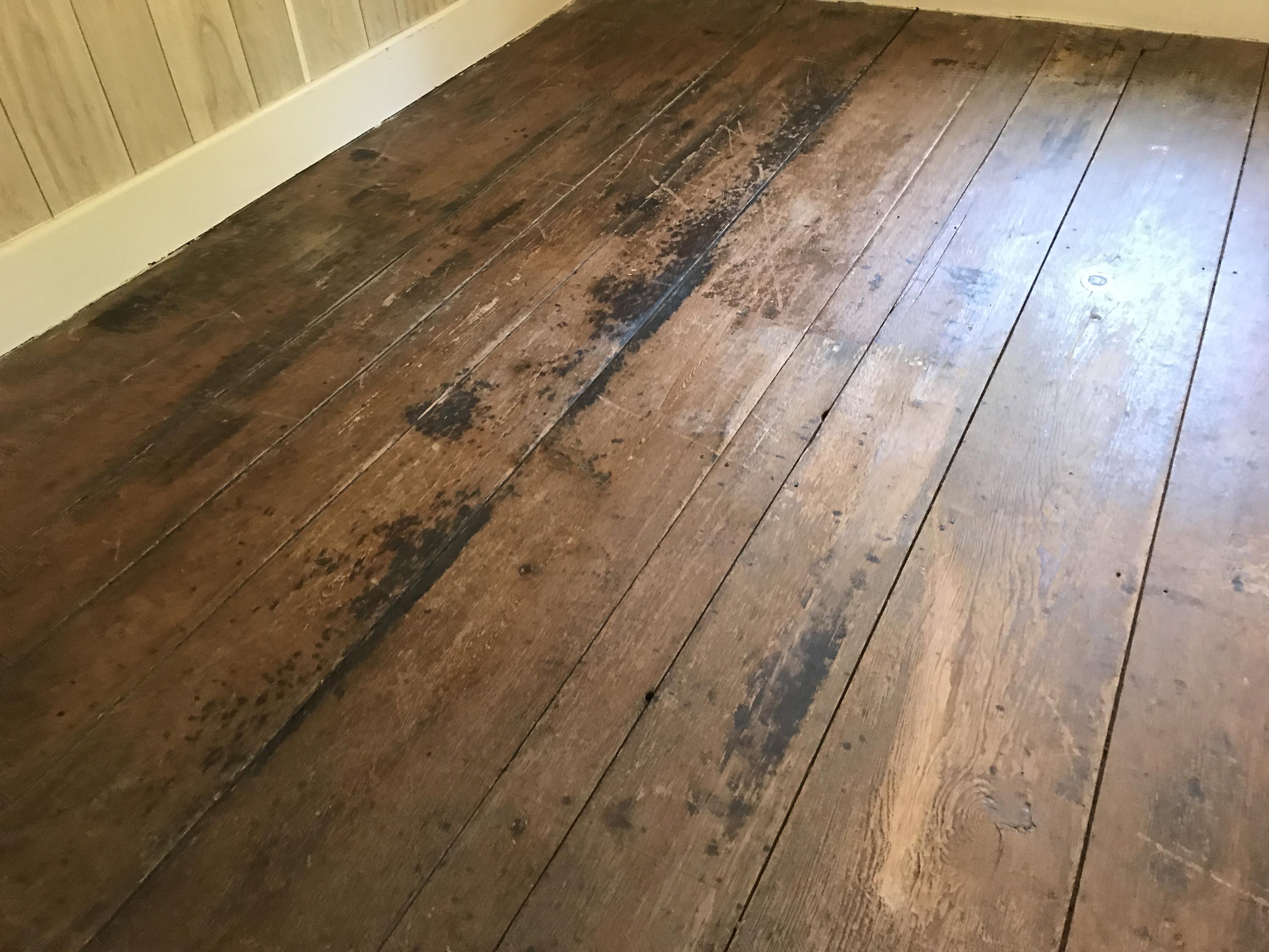 47 River Road Dennysville, ME 04628 - Photo 40 of 53 IMG_8639