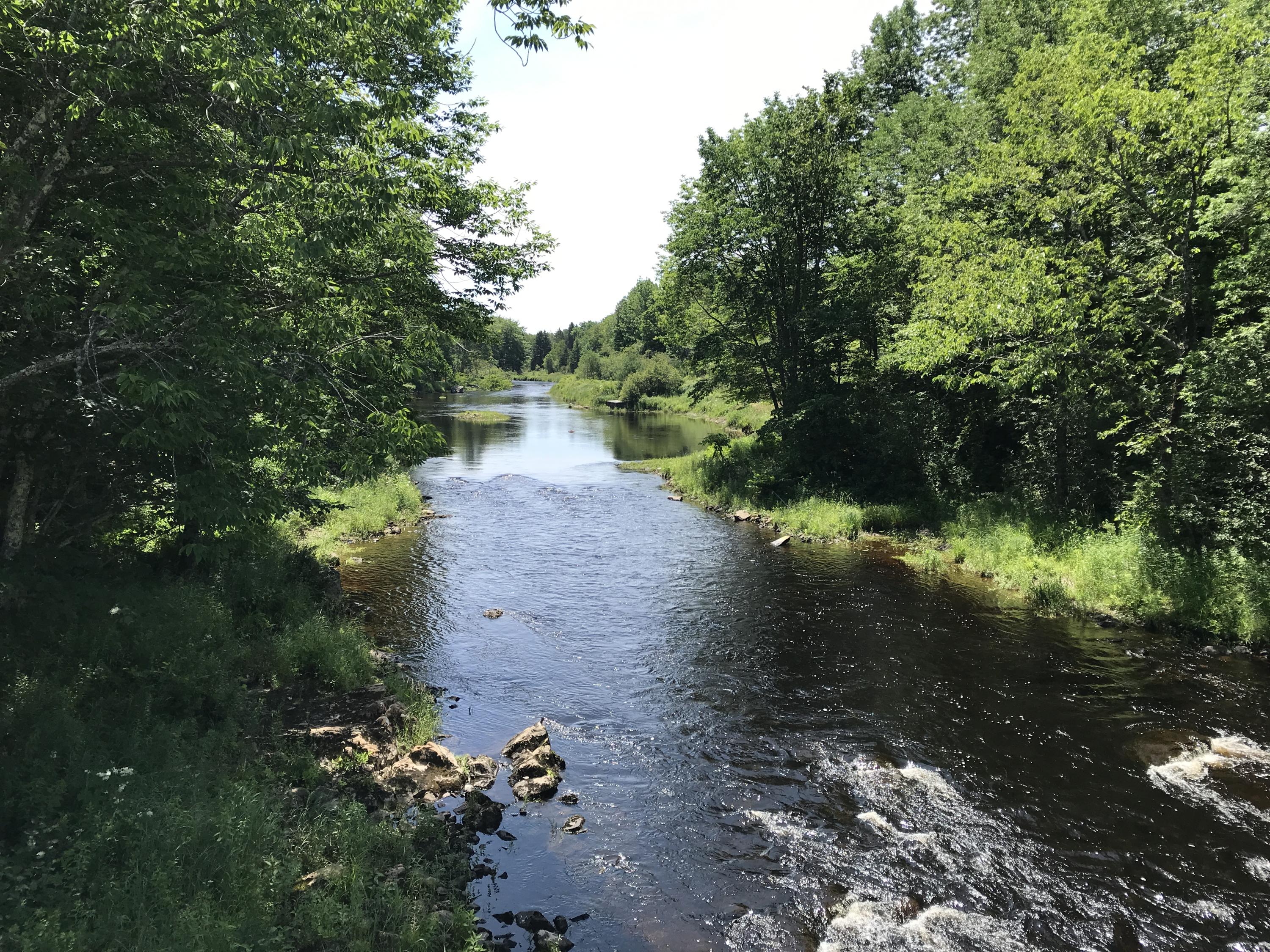 47 River Road Dennysville, ME 04628 - Photo 52 of 53 IMG_8674