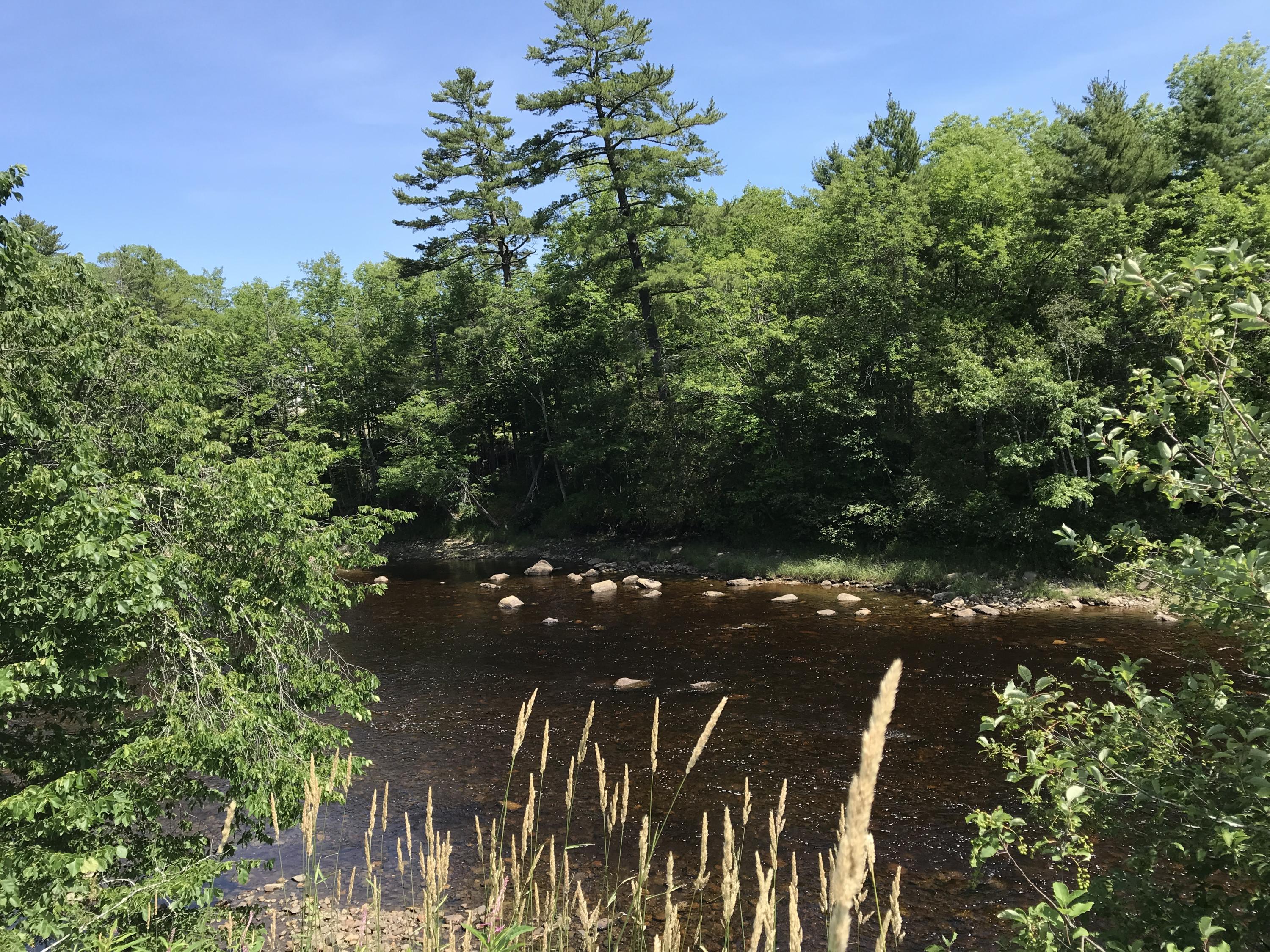 47 River Road Dennysville, ME 04628 - Photo 53 of 53 IMG_8678