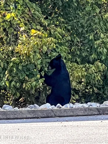 $765,000 | 2866 White Oak Ridge Lane, Sevierville, TN 37862