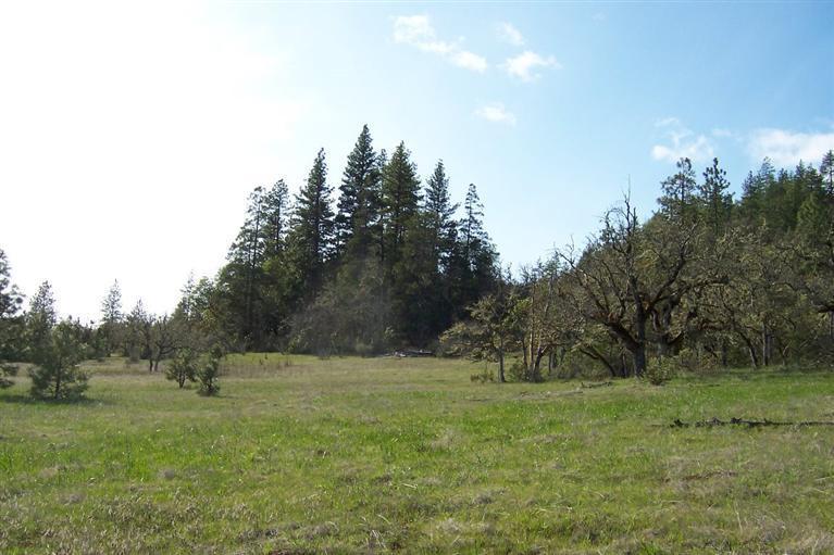 0 Derby Road Eagle Point, OR 97524 - Photo 5 of 12 Additional Photo