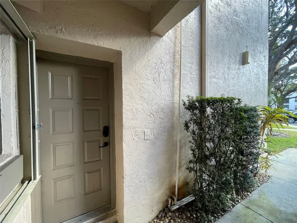 a plant that is in front of a door
