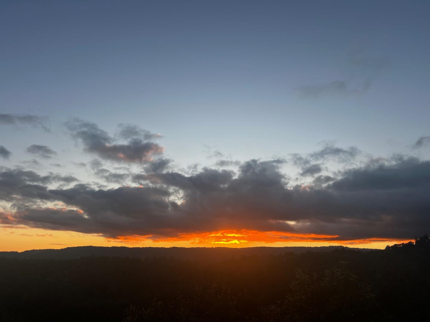 2500 Nelson Road Scotts Valley, CA 95066 - Photo 70 of 77