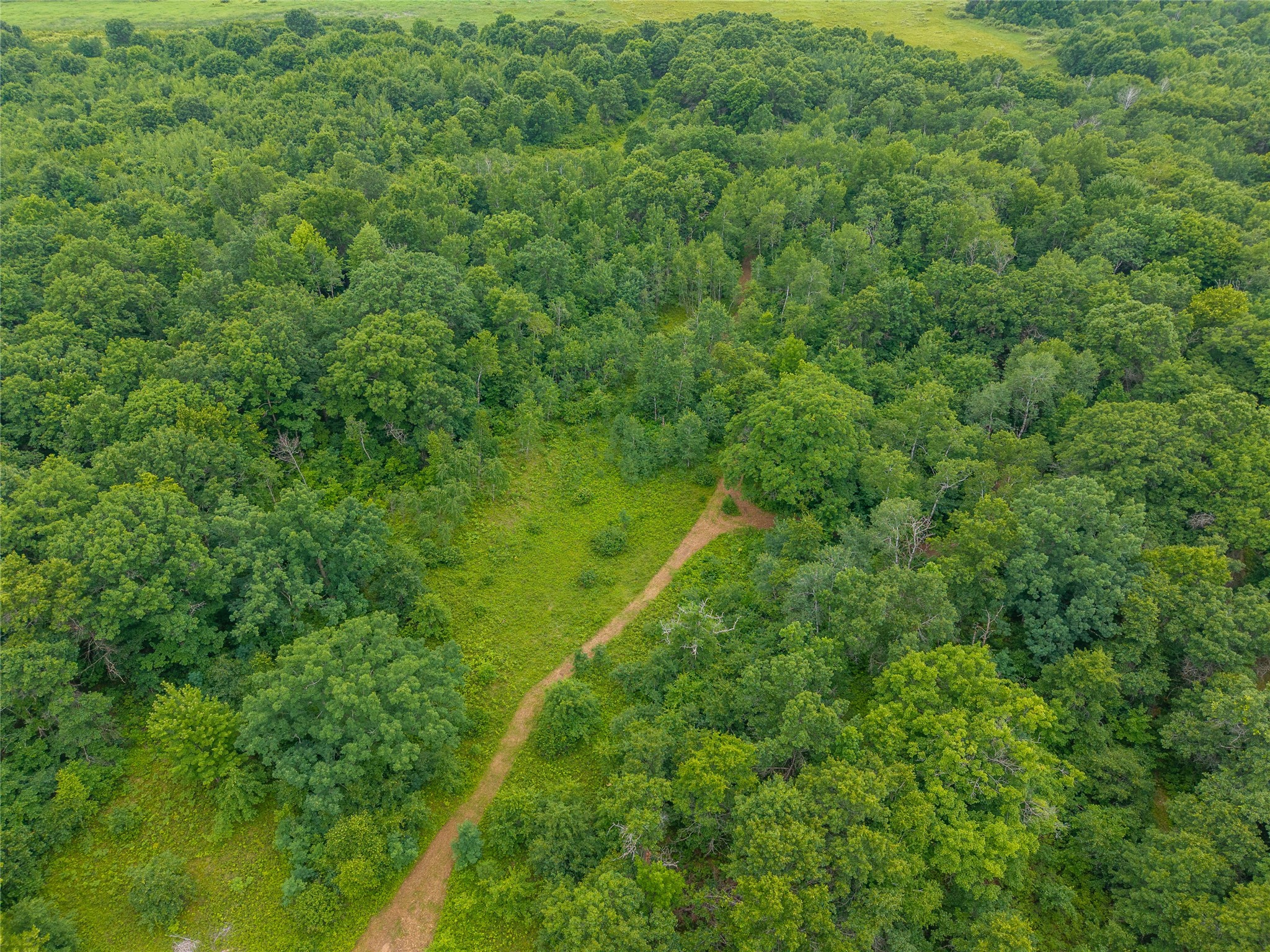 N1297 Cth Street Bruce, WI 54819 - Photo 22 of 43