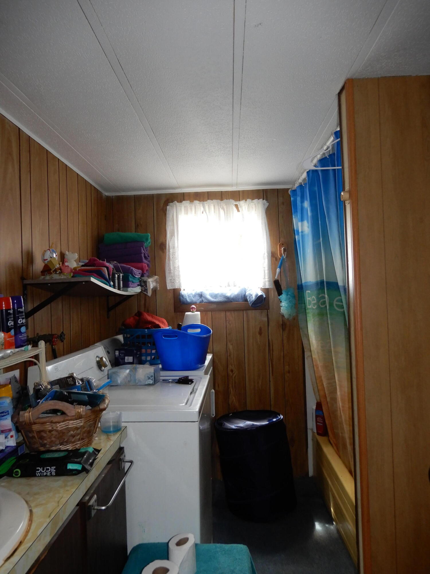 45 Kimball Corner Road Sebago, ME 04029 - Photo 6 of 10 DSCN8650