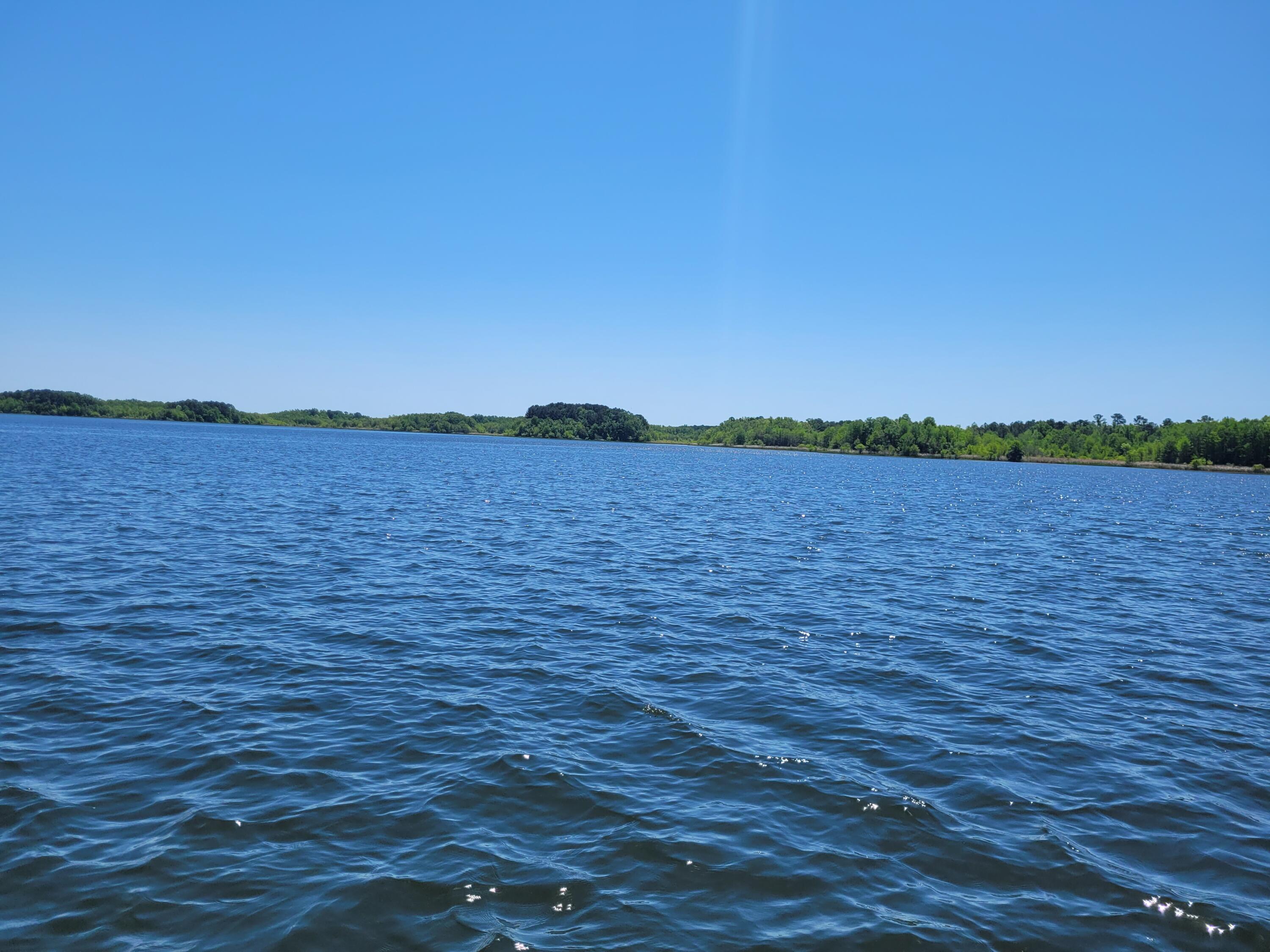 1345 Holland Road Summerton, SC 29148 - Photo 18 of 57