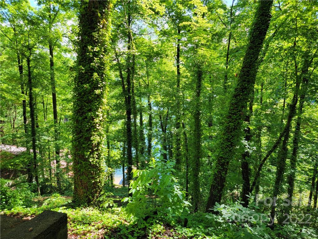 200 Picnic Point Road Lake Lure, NC 28746 - Photo 12 of 30 Gallery Image 12