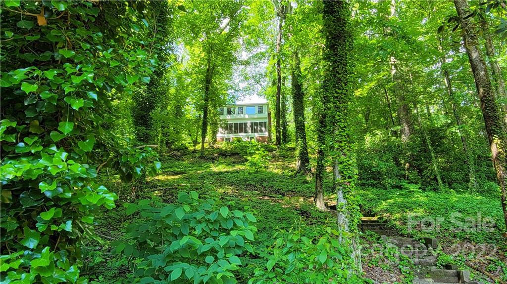 200 Picnic Point Road Lake Lure, NC 28746 - Photo 9 of 30 Gallery Image 9