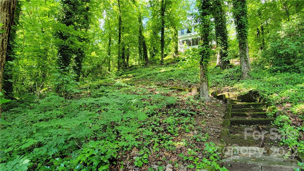 200 Picnic Point Road Lake Lure, NC 28746 - Photo 10 of 30 Gallery Image 10