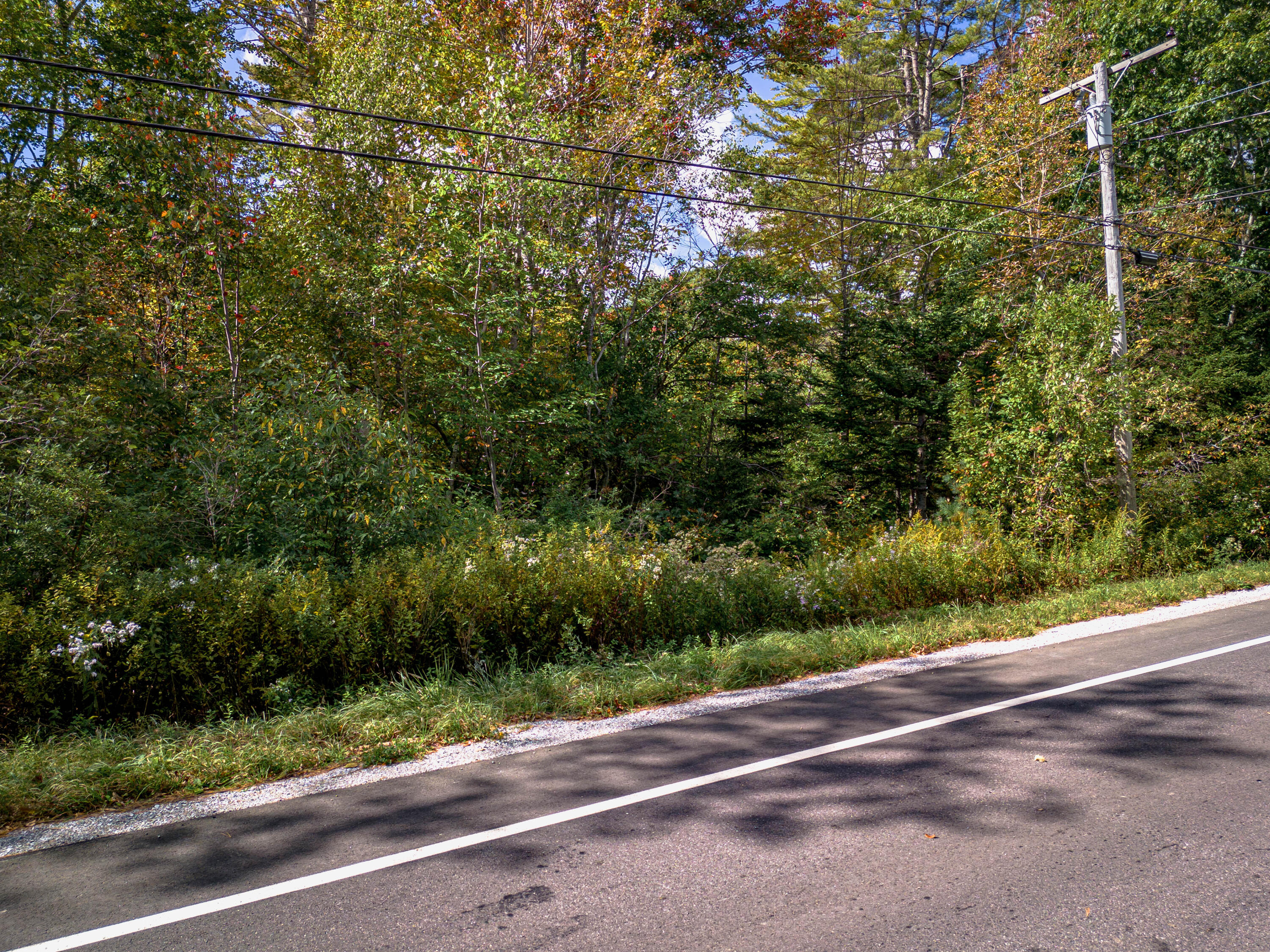 183 Seal Harbor Road Spruce Head, ME 04859 - Photo 11 of 15 Wooded lot