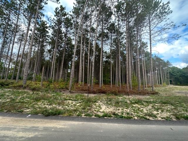 Lot 38 Cascade Trail Traverse City, MI 49685 - Photo 4 of 11