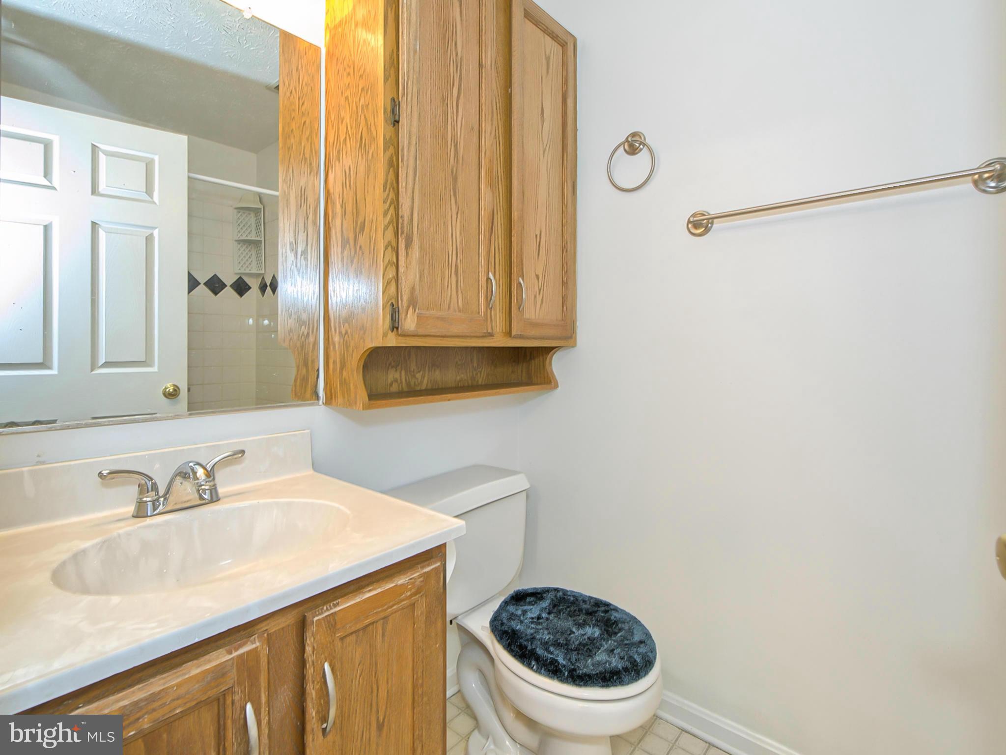 2137 Wainwright Court, Unit 2B Frederick, MD 21702 - Photo 18 of 30 a bathroom with a sink a toilet and a mirror