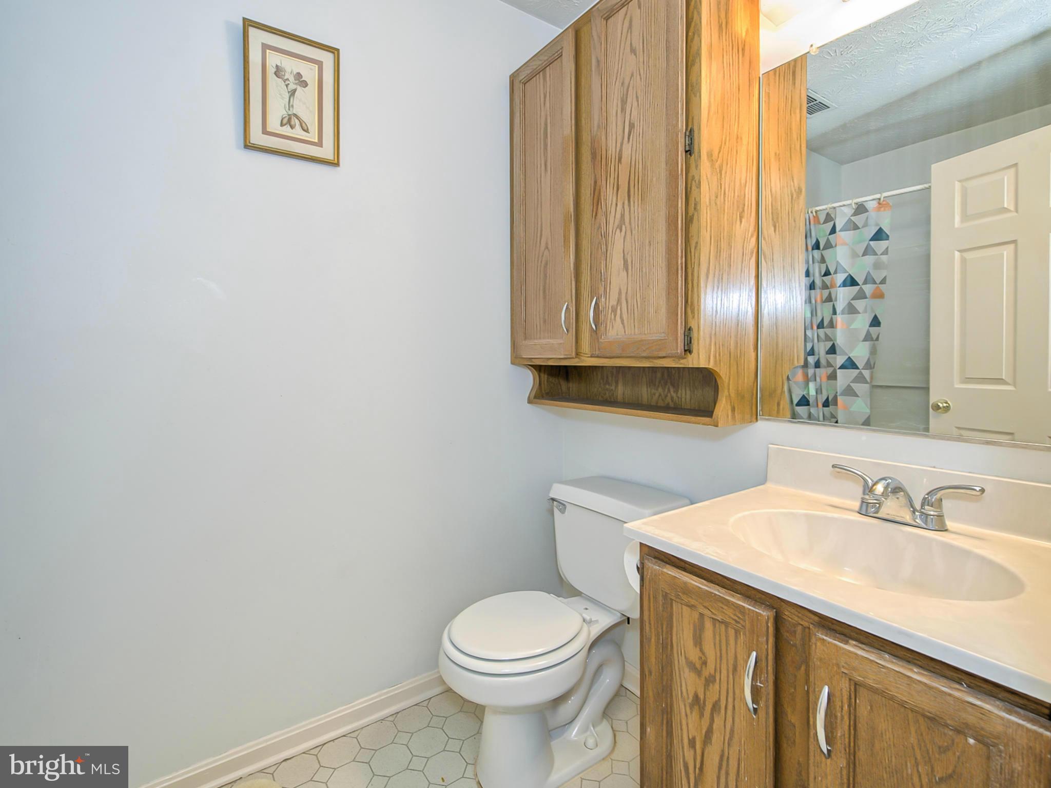 2137 Wainwright Court, Unit 2B Frederick, MD 21702 - Photo 20 of 30 a bathroom with a sink a toilet and a mirror